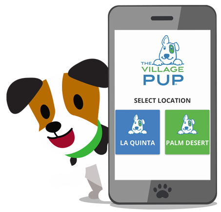 dog daycare app